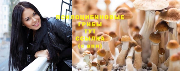 кокс Арсеньев