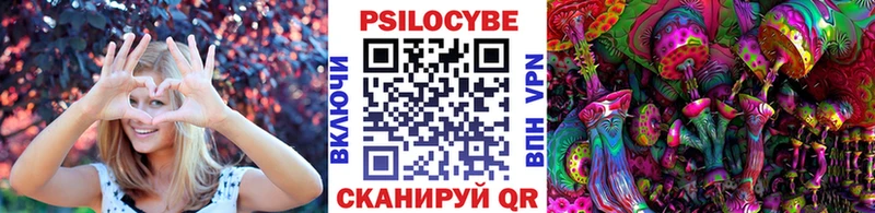 shop какой сайт  Кирово-Чепецк  Псилоцибиновые грибы MAGIC MUSHROOMS 