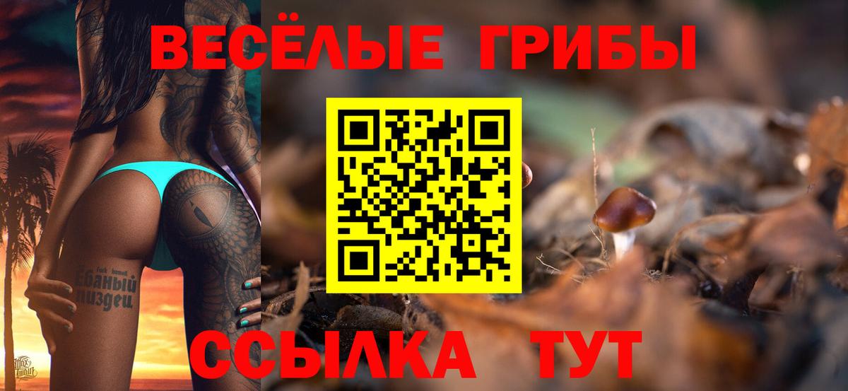Кирово-Чепецк  Галлюциногенные грибы Psilocybine cubensis  Псилоцибиновые грибы Psilocybe  Вход с VPN 